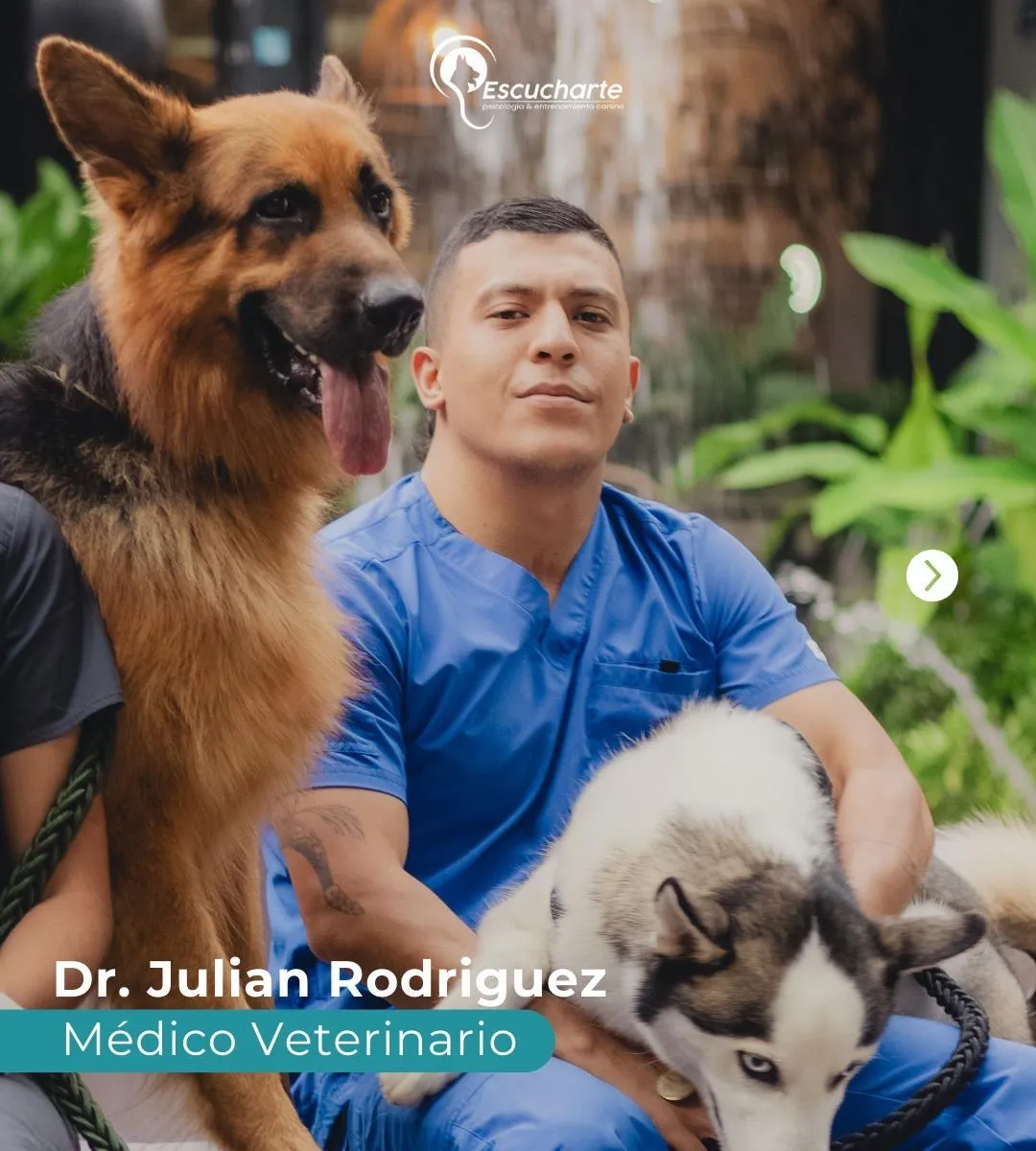 Juli con perros de servicio de Escucharte Service Dog